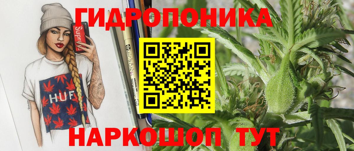 Бошки Шишки MAZAR Десногорск